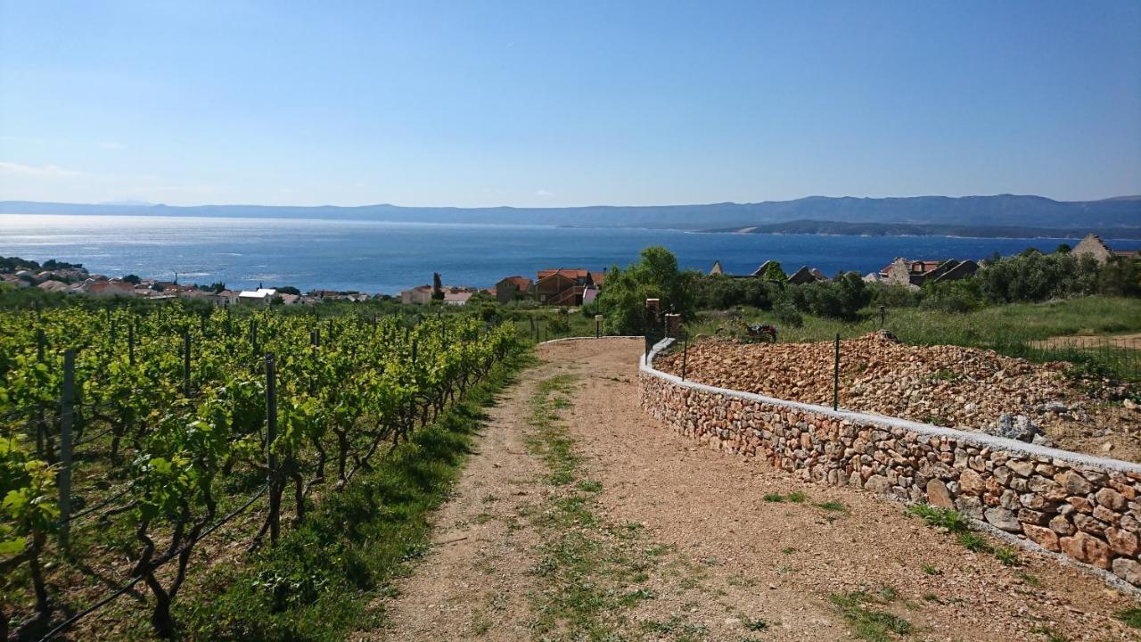 Holiday Home Vineyard House Bol Exterior foto